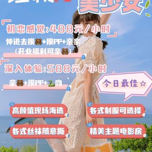 新型恋爱女仆店